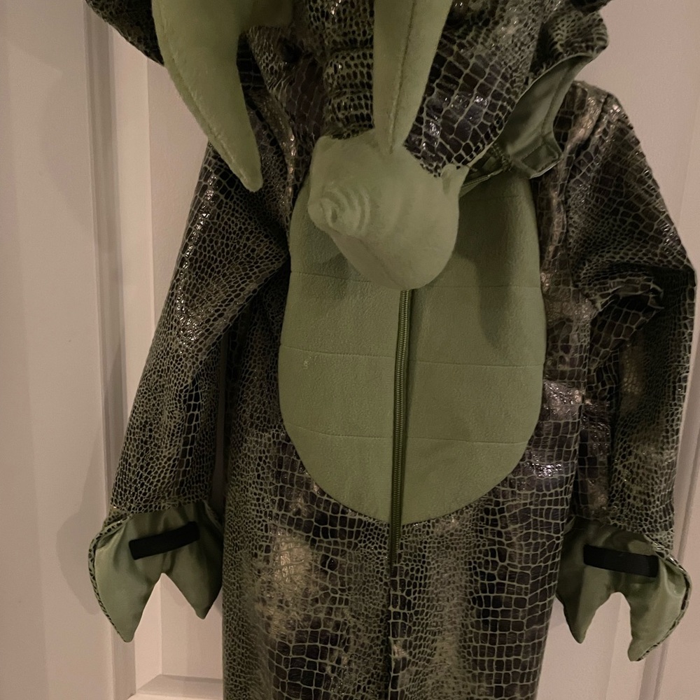 Toddler dinosaur costume